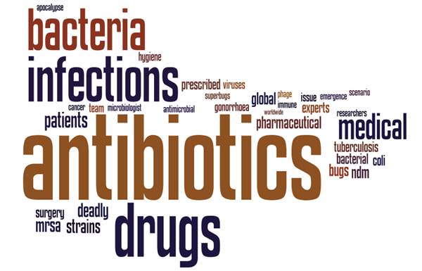 antibioticwordle2